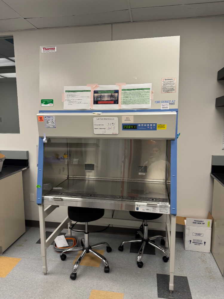 Image of Thermo 1300 Series A2 4' BioSafety Cabinet